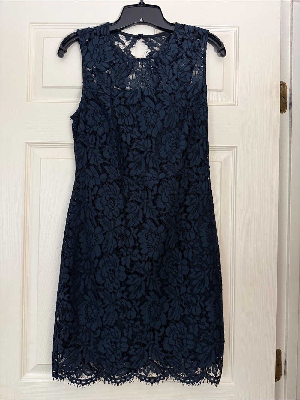 Banana Republic Navy Floral Lace Sleeveless Dress